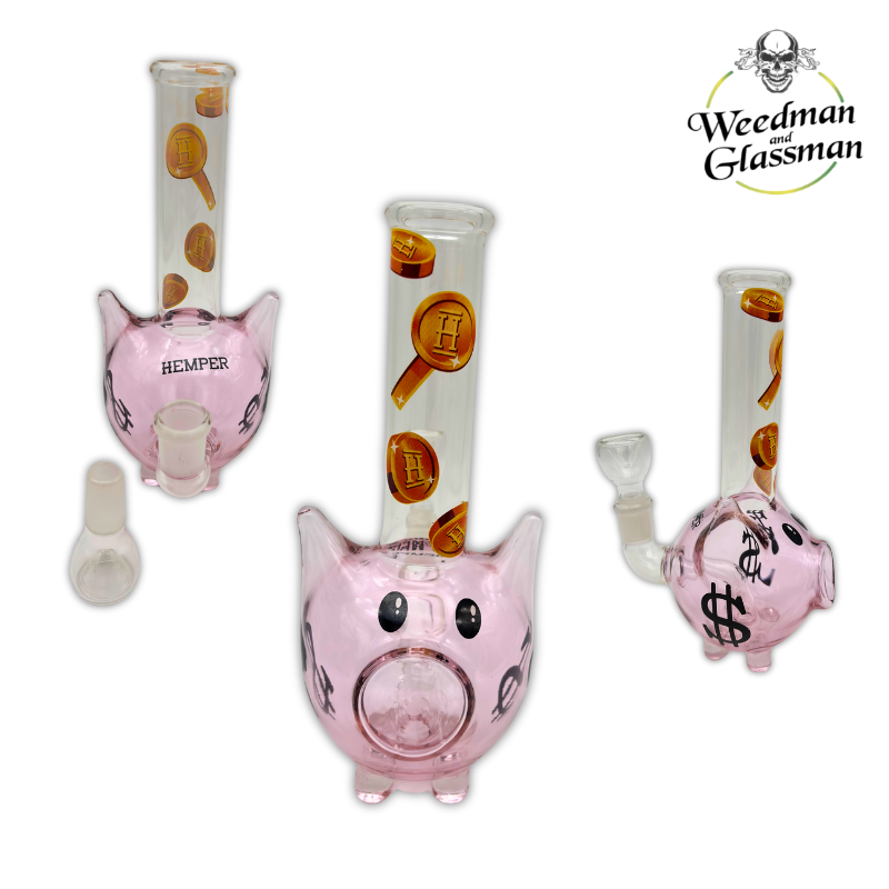 Hemper Water Pipe | Piggy Bank Design